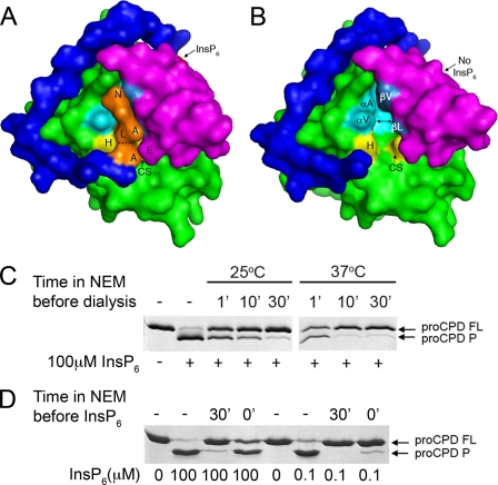 FIGURE 4.