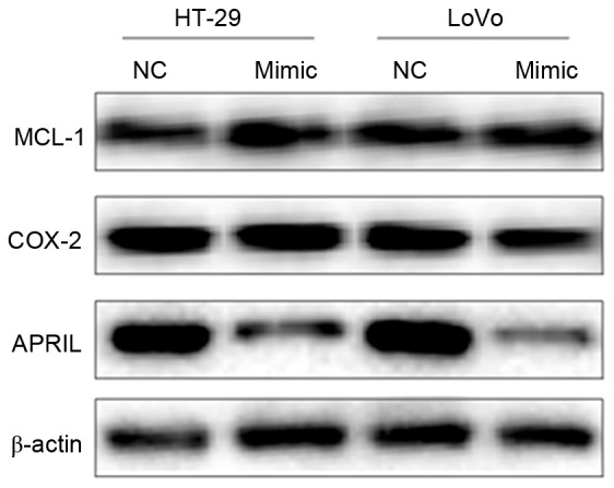 Figure 6.