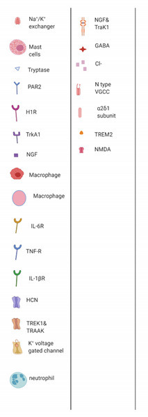 graphic file with name cancers-13-01576-i002.jpg