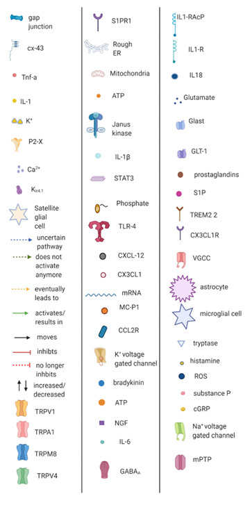 graphic file with name cancers-13-01576-i001.jpg