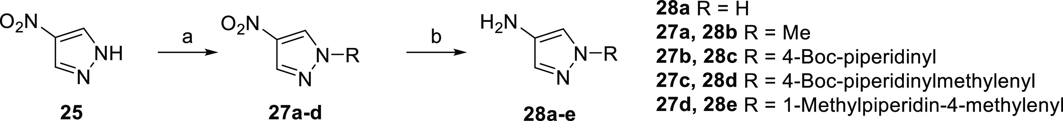 Scheme 4