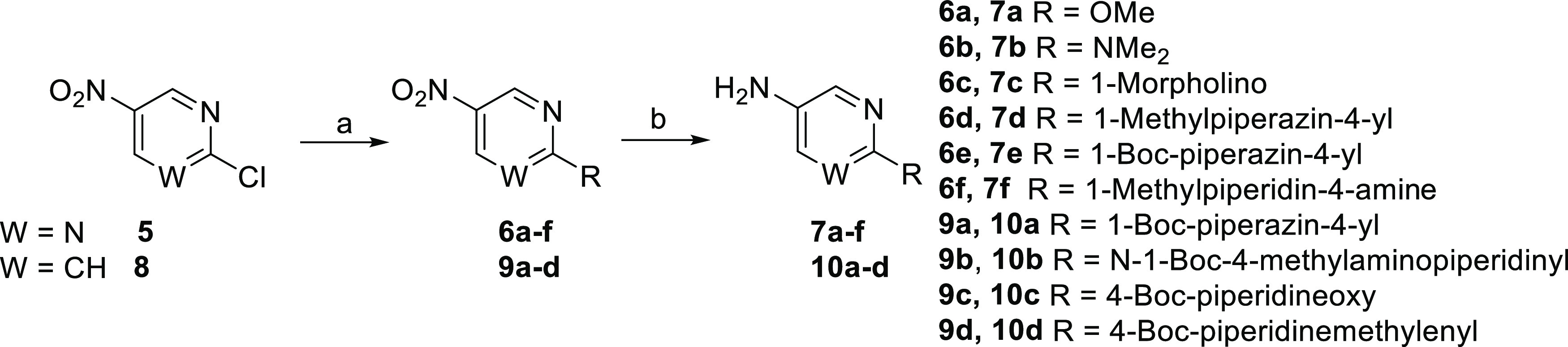 Scheme 1