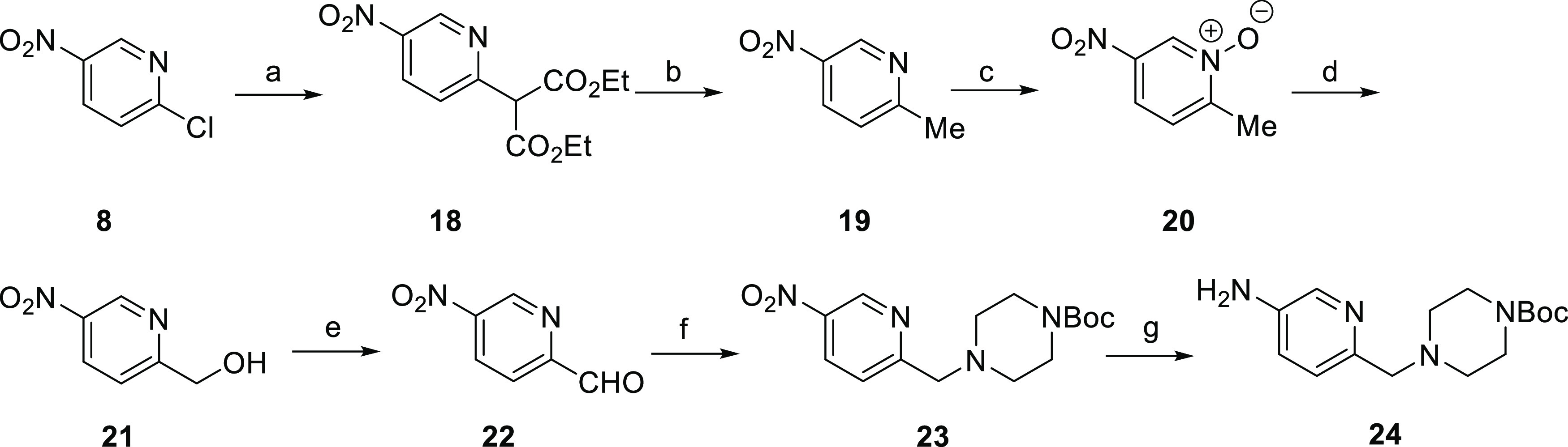 Scheme 3