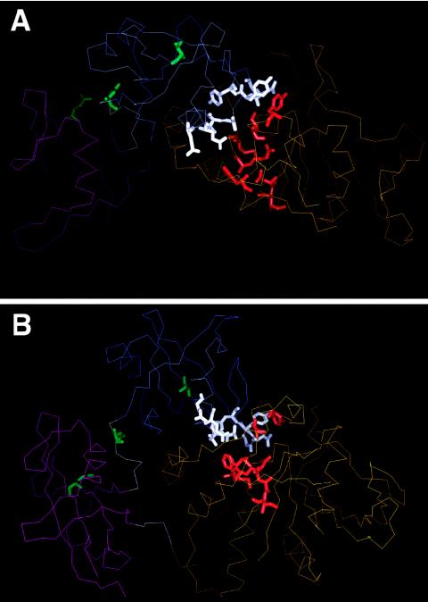 Figure  2