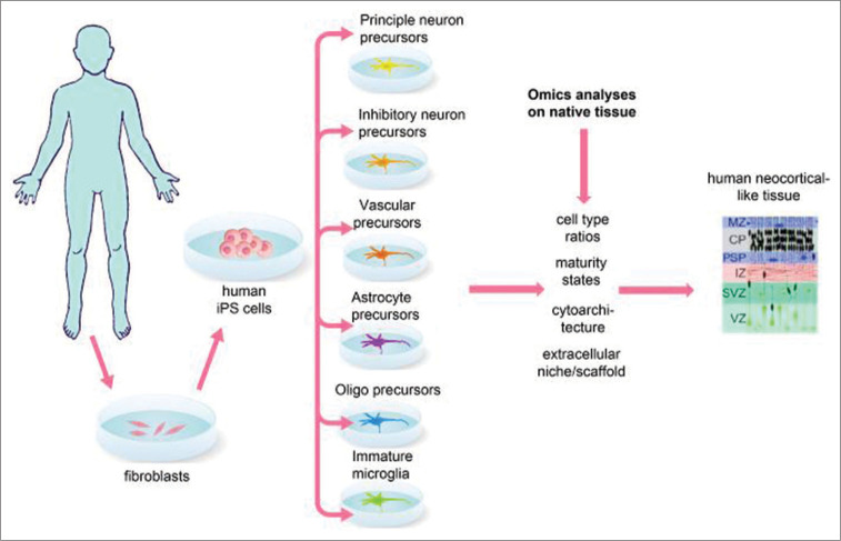 Figure 1: