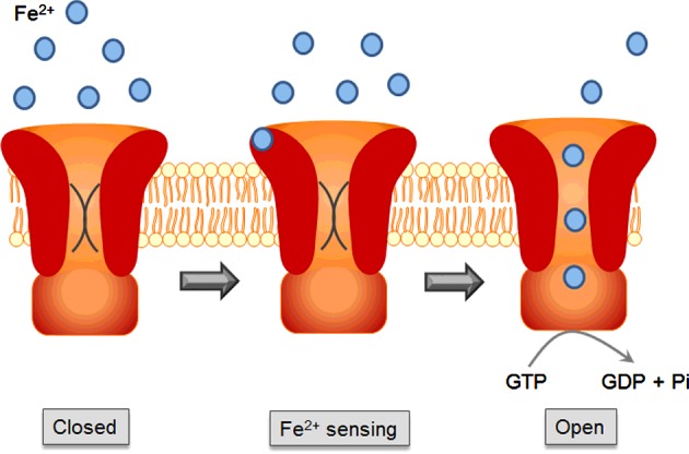 Figure 9