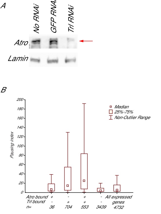 Figure 6—figure supplement 2.