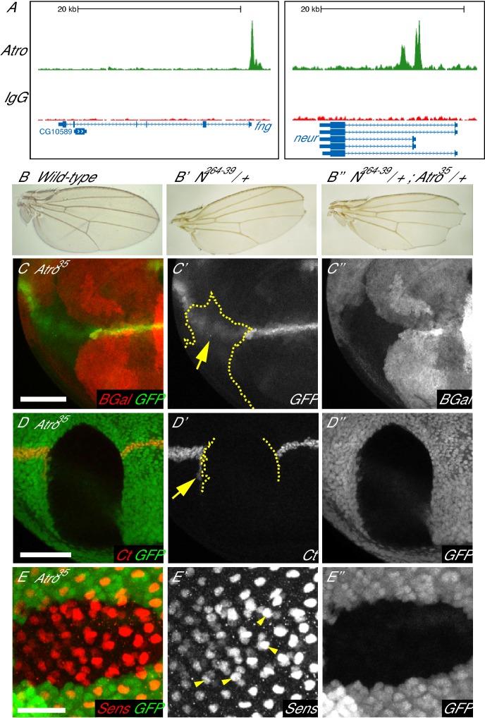 Figure 4.