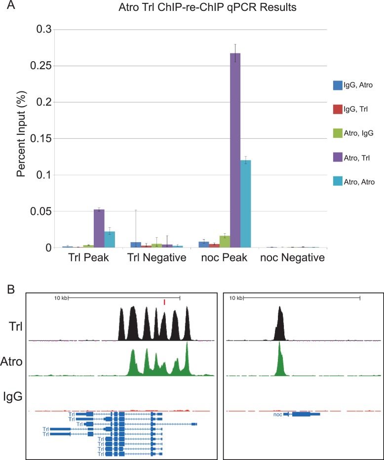 Figure 6—figure supplement 1.