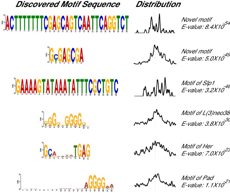 Figure 5—figure supplement 1.