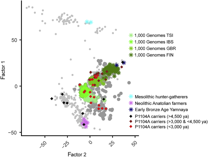 Figure 4