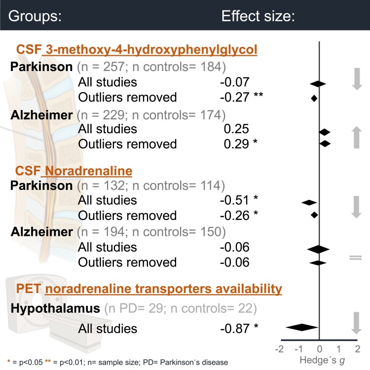 Graphical abstract