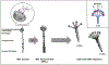 Fig. 4.