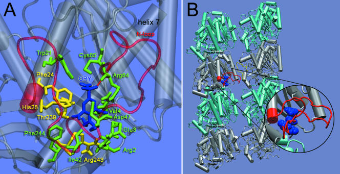 Figure 5.