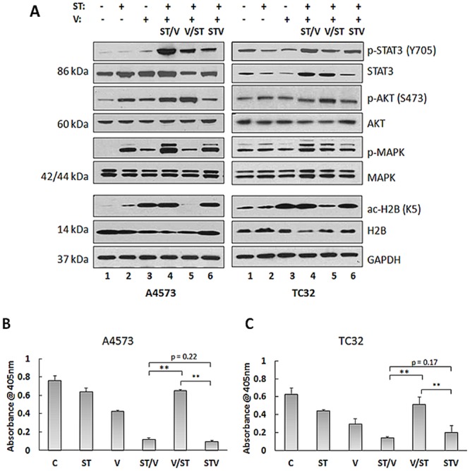 Fig 4