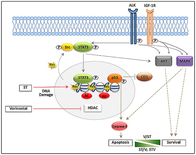 Fig 6