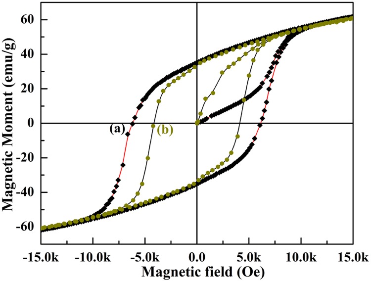 Fig 10