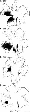 Fig. 1.
