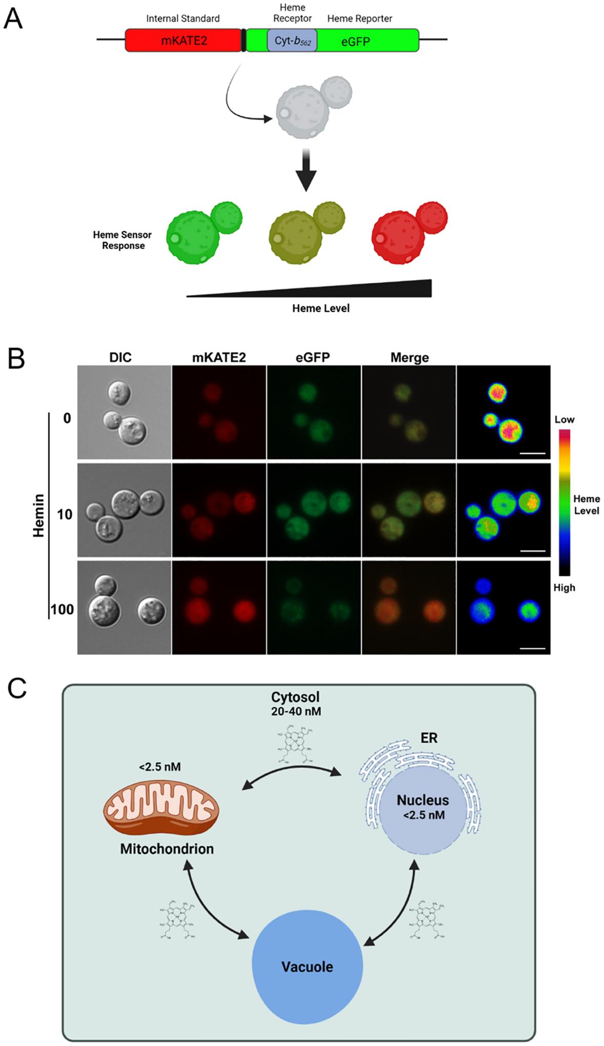 Fig. 2 -