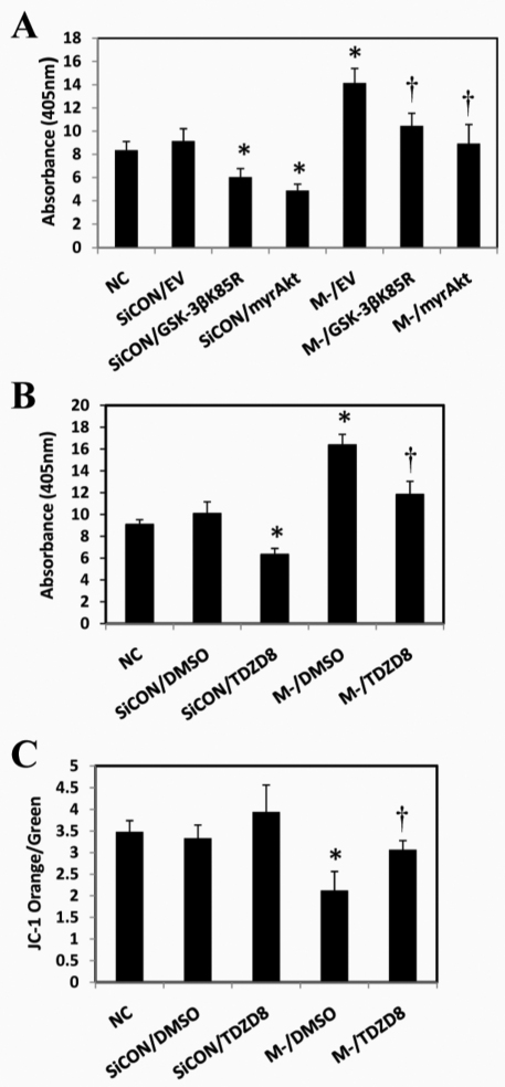 Fig. 6.