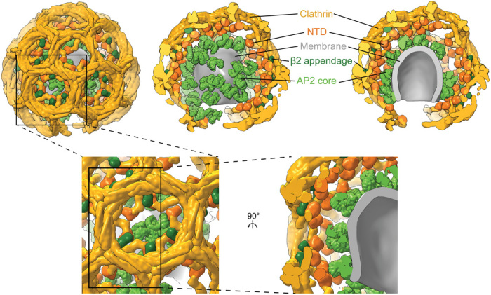 Fig. 4