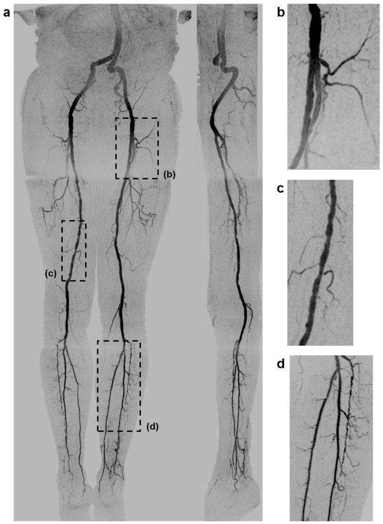 FIGURE 3