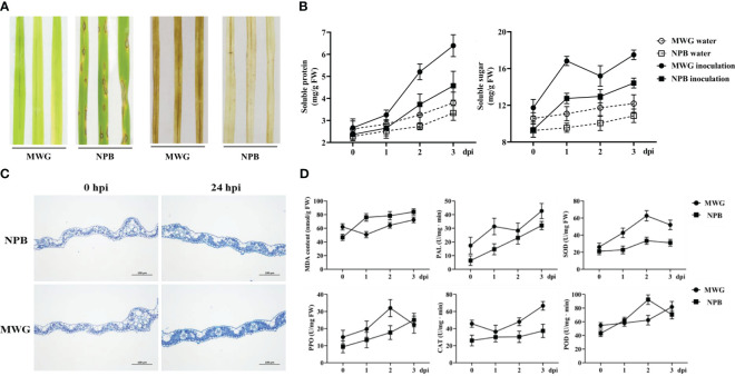 Figure 5