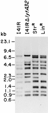 FIG. 6
