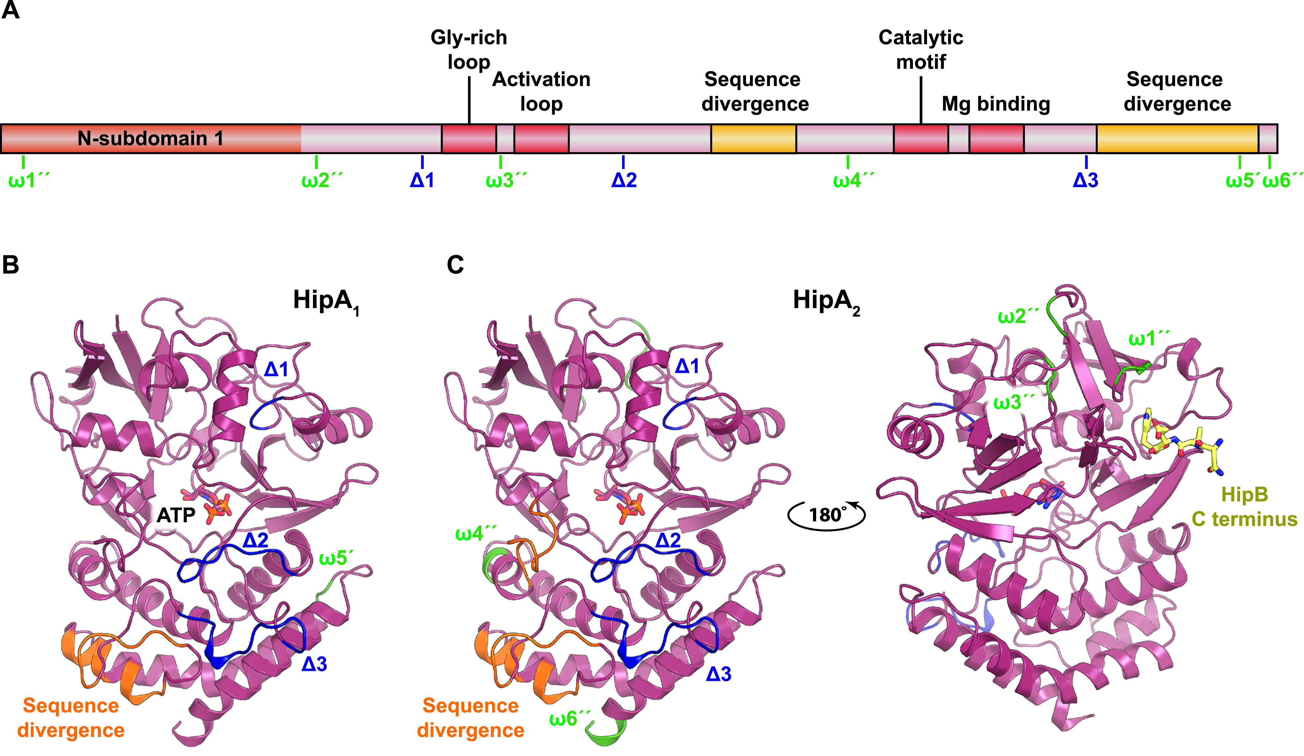 FIG 3