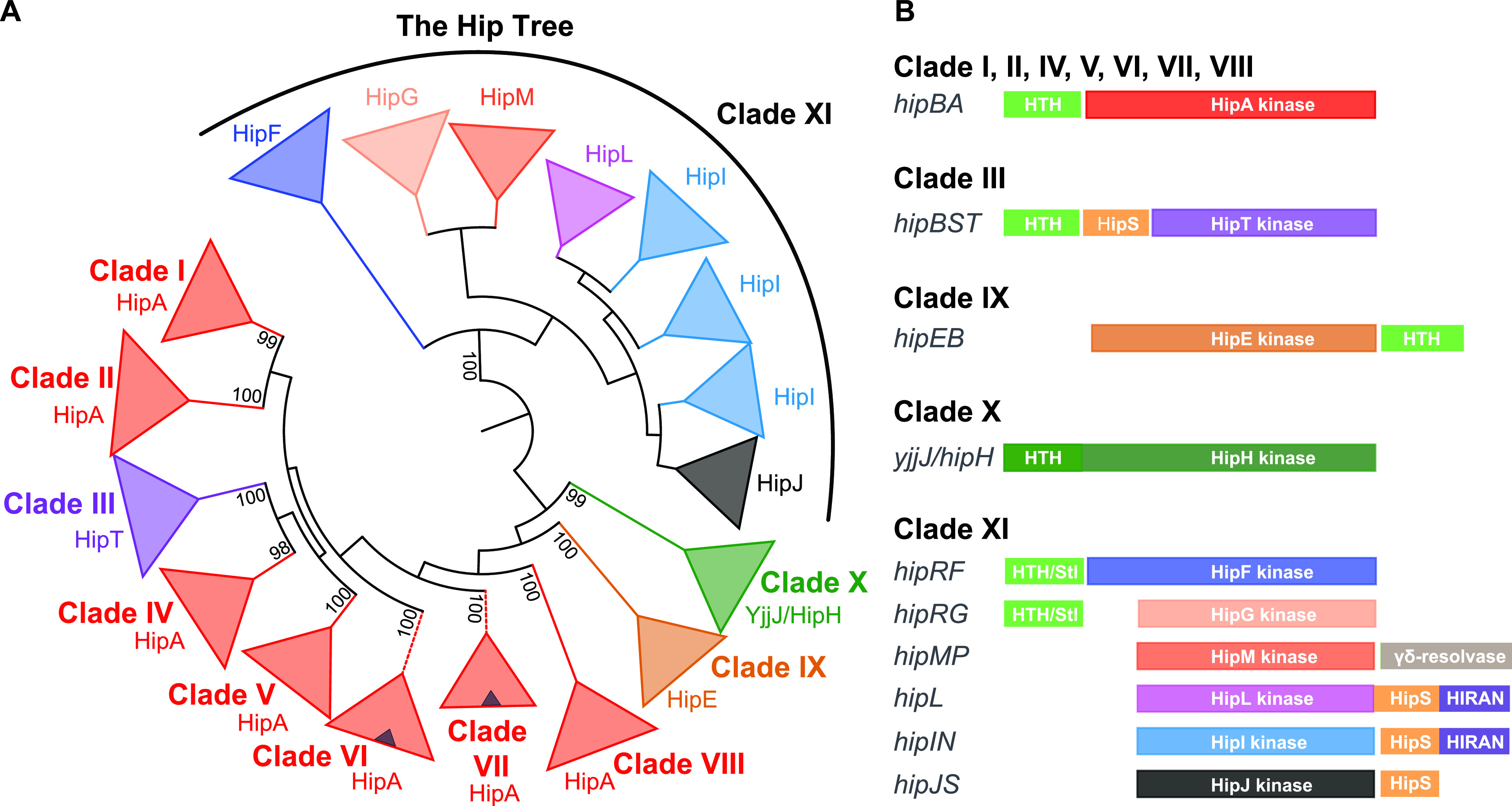 FIG 2