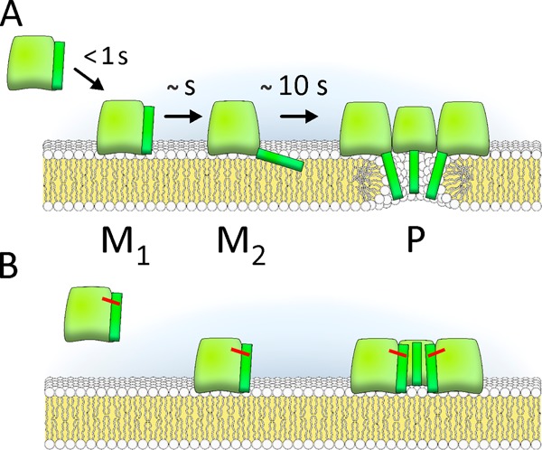 FIGURE 7.