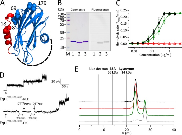 FIGURE 1.