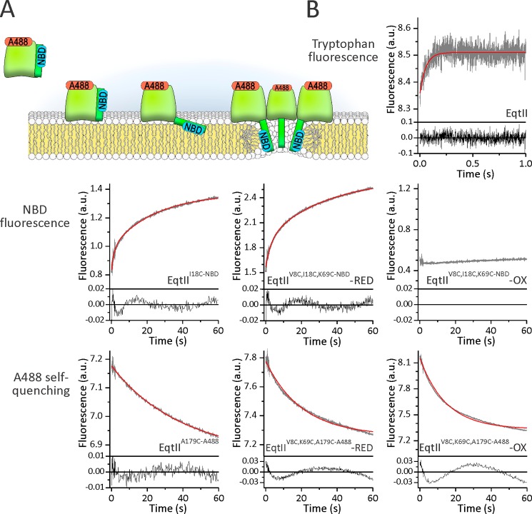 FIGURE 3.