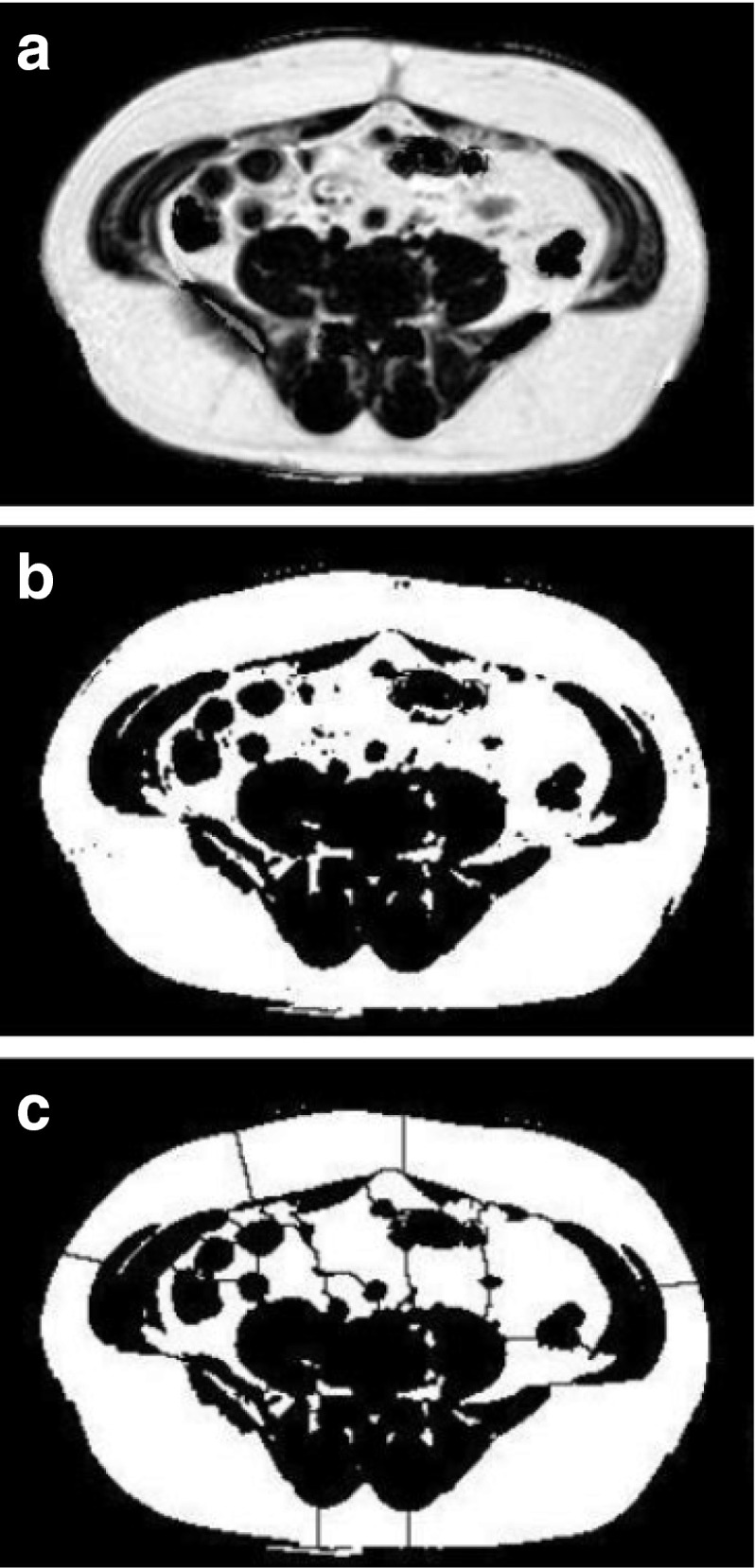 Fig. 3