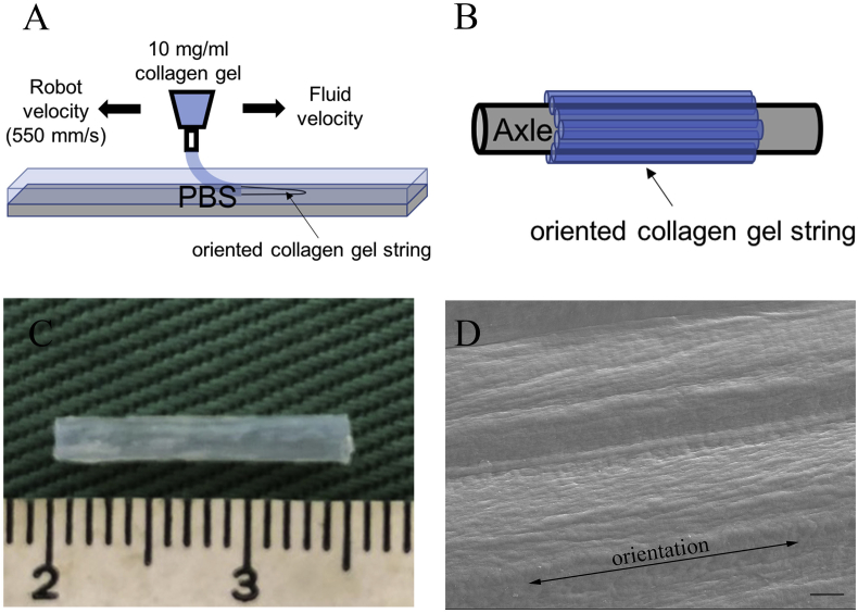 Fig. 1