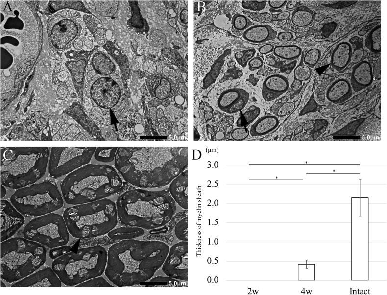 Fig. 9