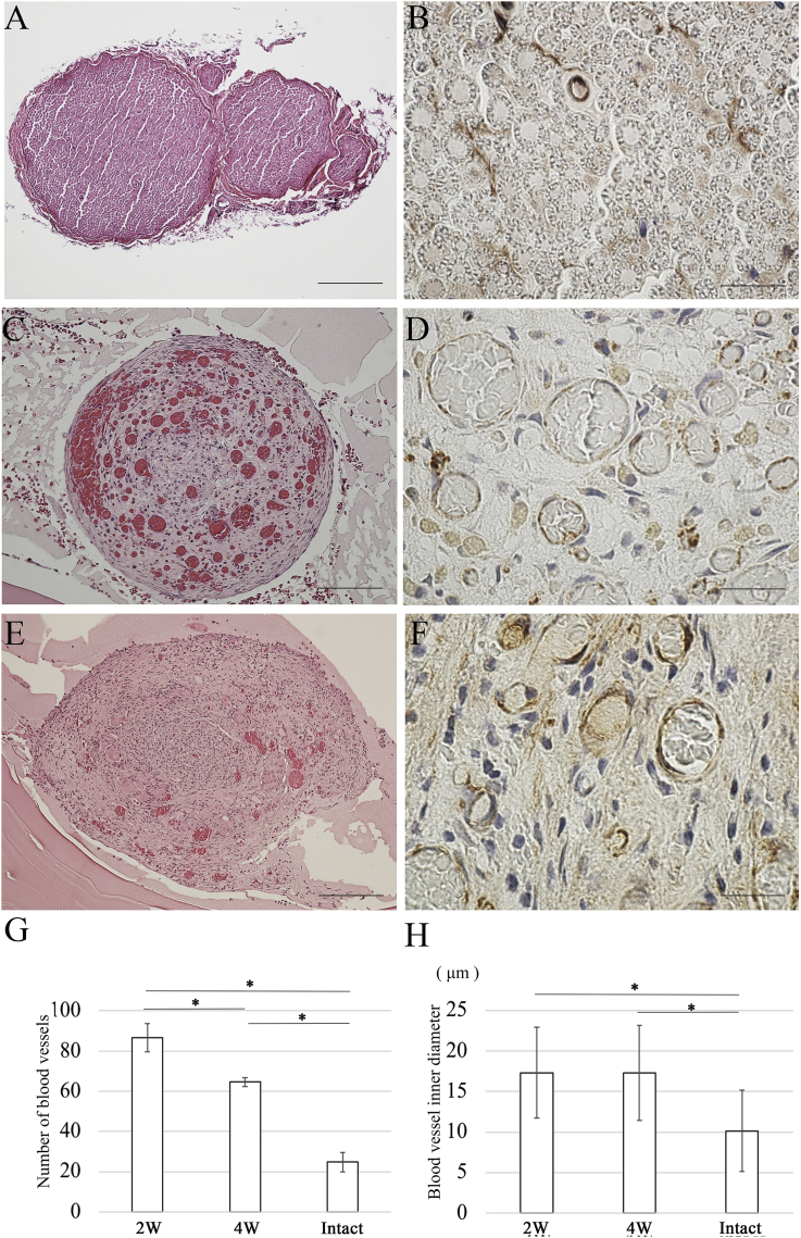 Fig. 11