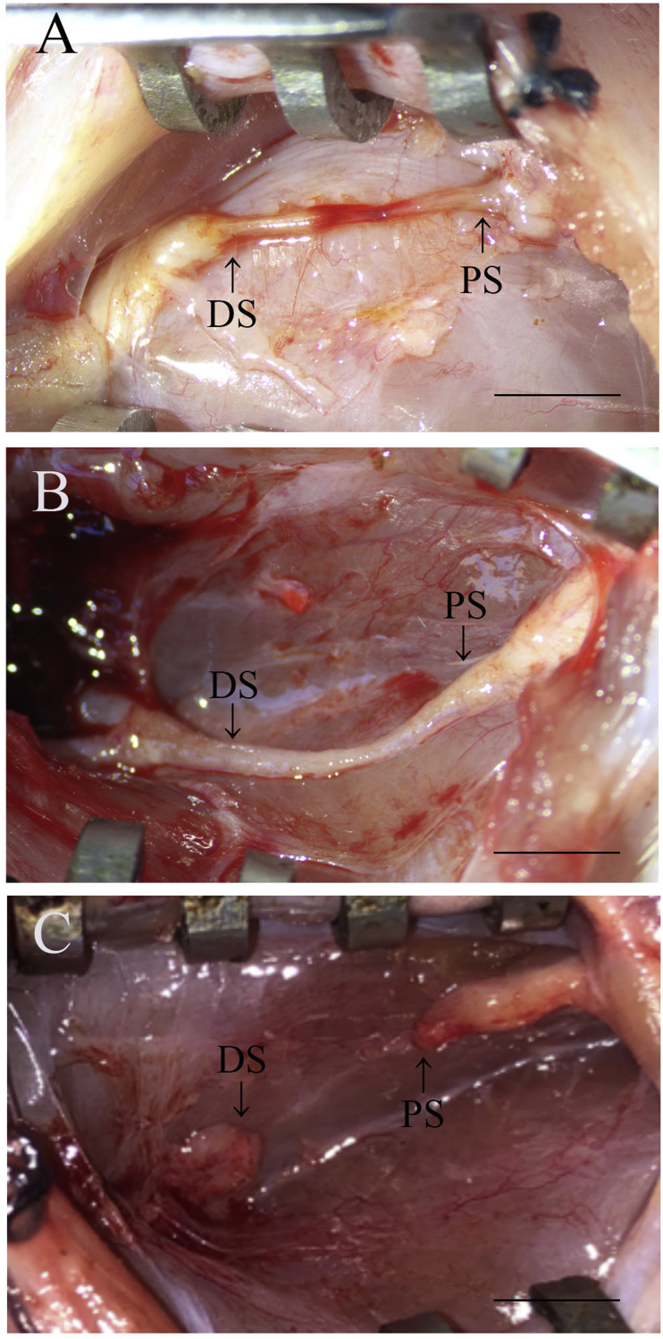 Fig. 4