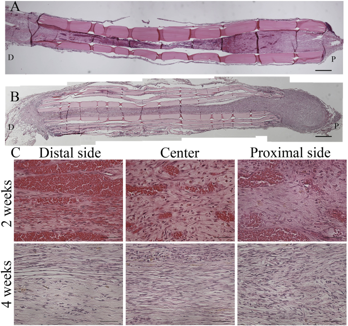 Fig. 5