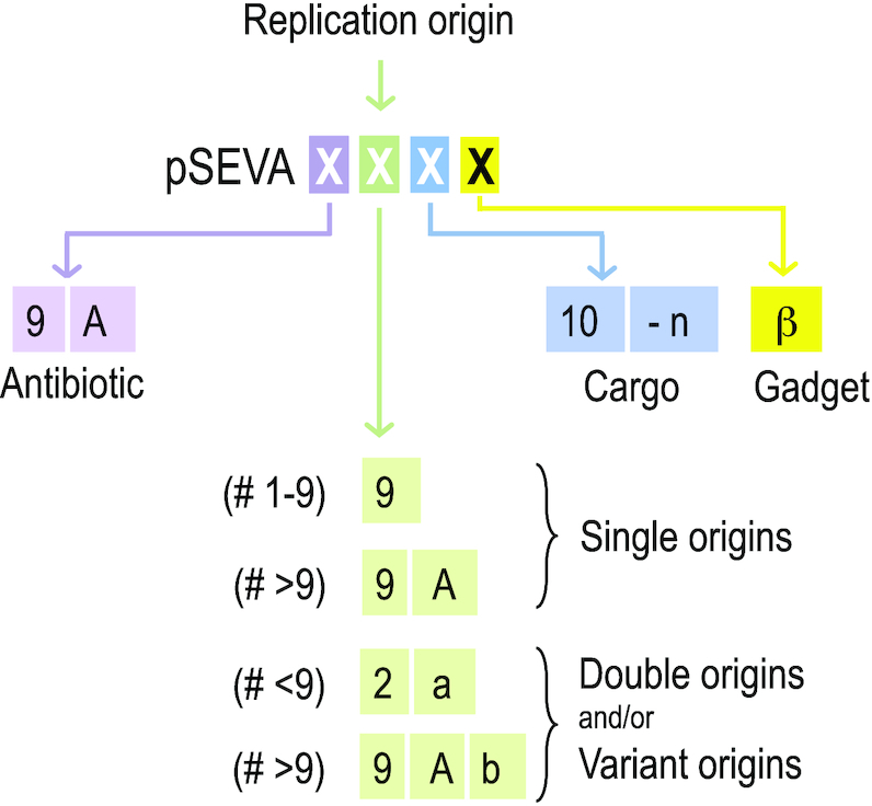 Figure 3.