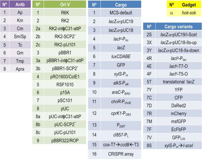 Figure 4.