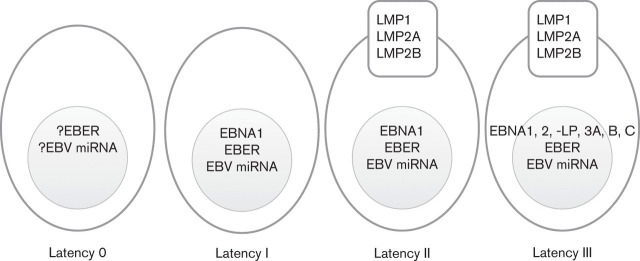 Fig. 1. 