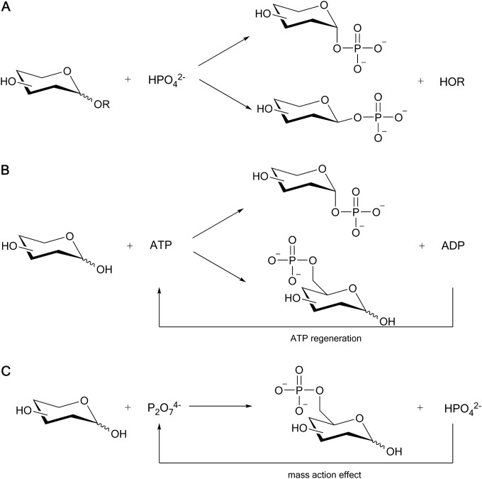 FIG 1