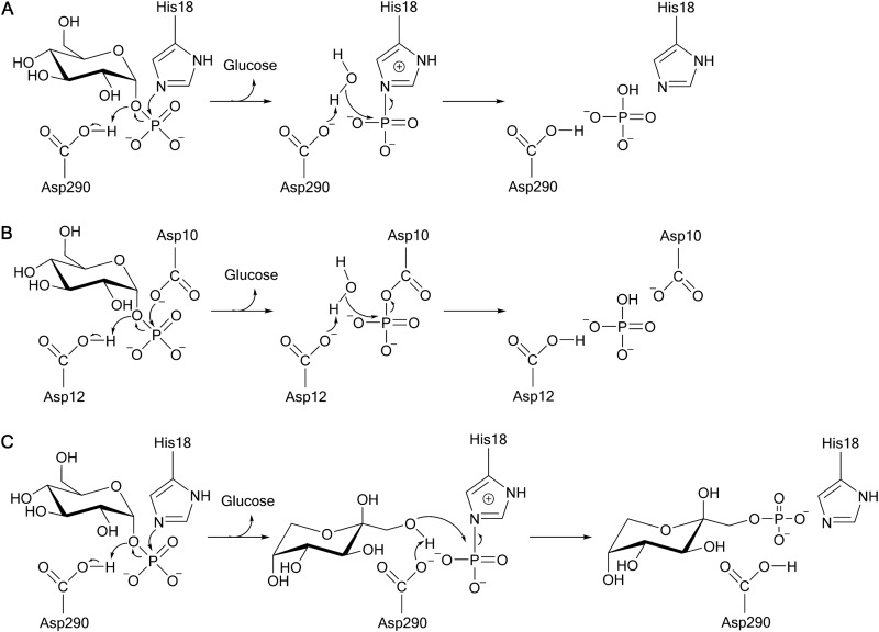 FIG 2