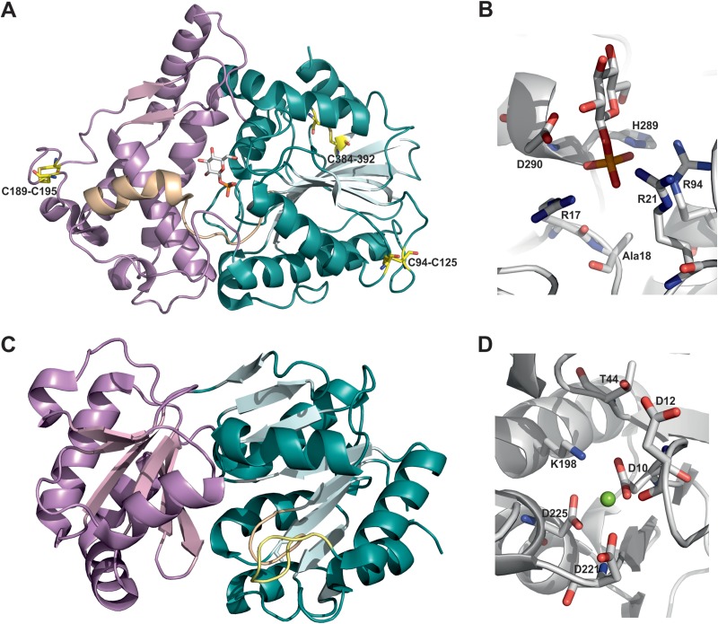 FIG 3