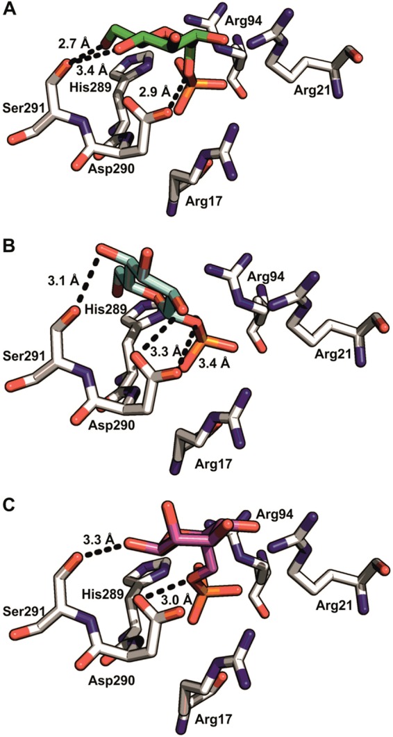 FIG 6