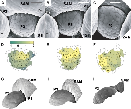 Fig. 9.