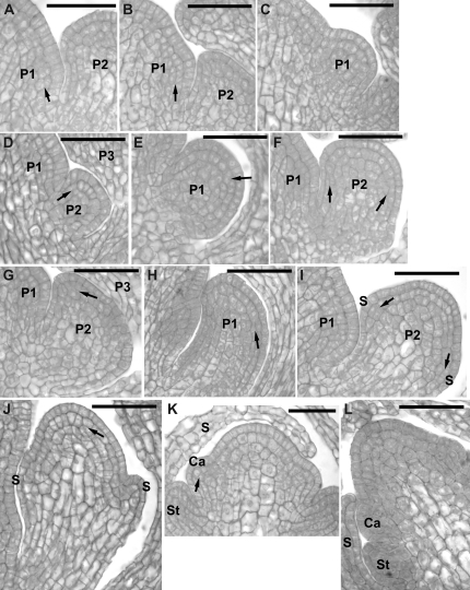 Fig. 14.