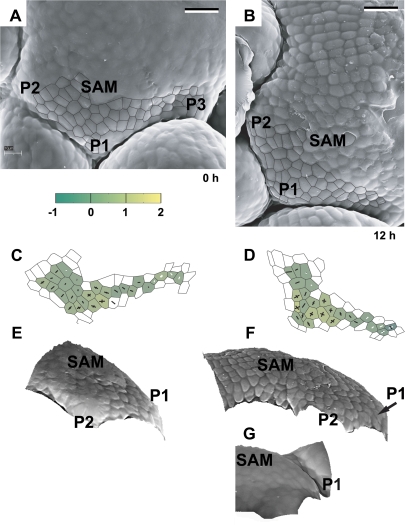 Fig. 3.