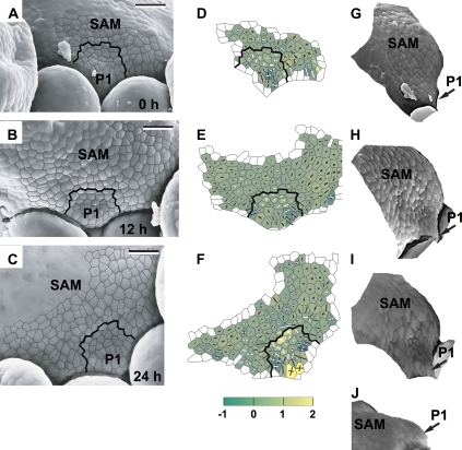 Fig. 4.